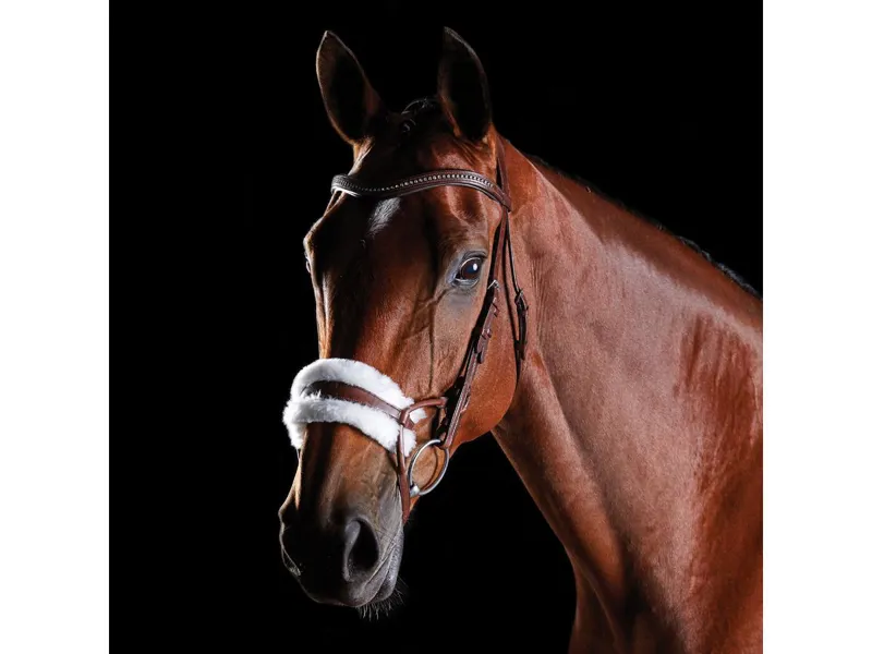 Collegiate ComFiTec Sheepskin Bridle - Brown