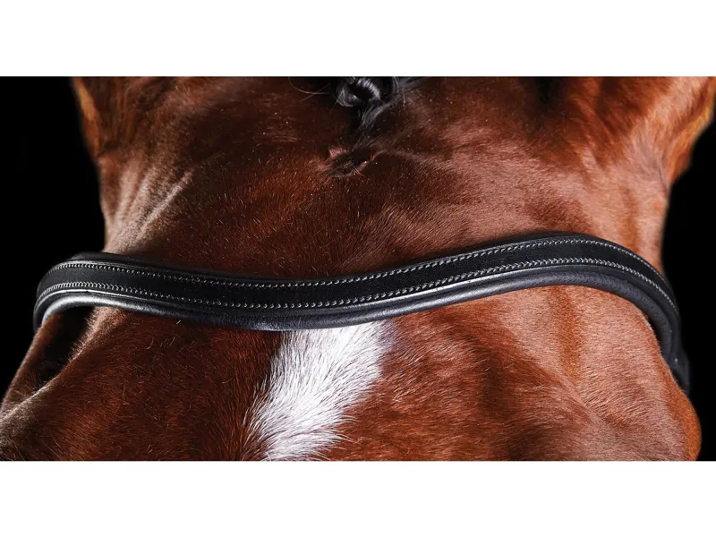 Collegiate ComFiTec Training - Black-1