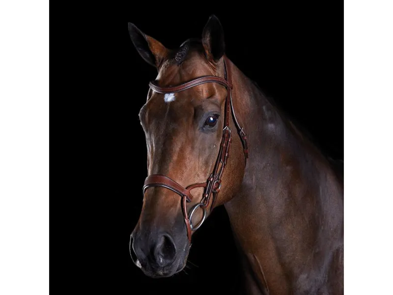 Collegiate ComFiTec Training Bridle - Brown