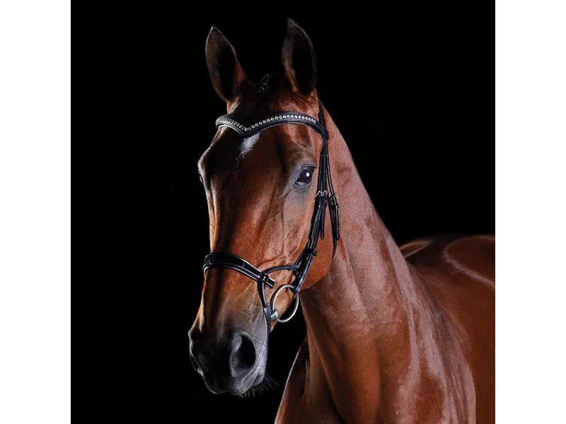 Collegiate ComFiTec Patent Bridle - Black