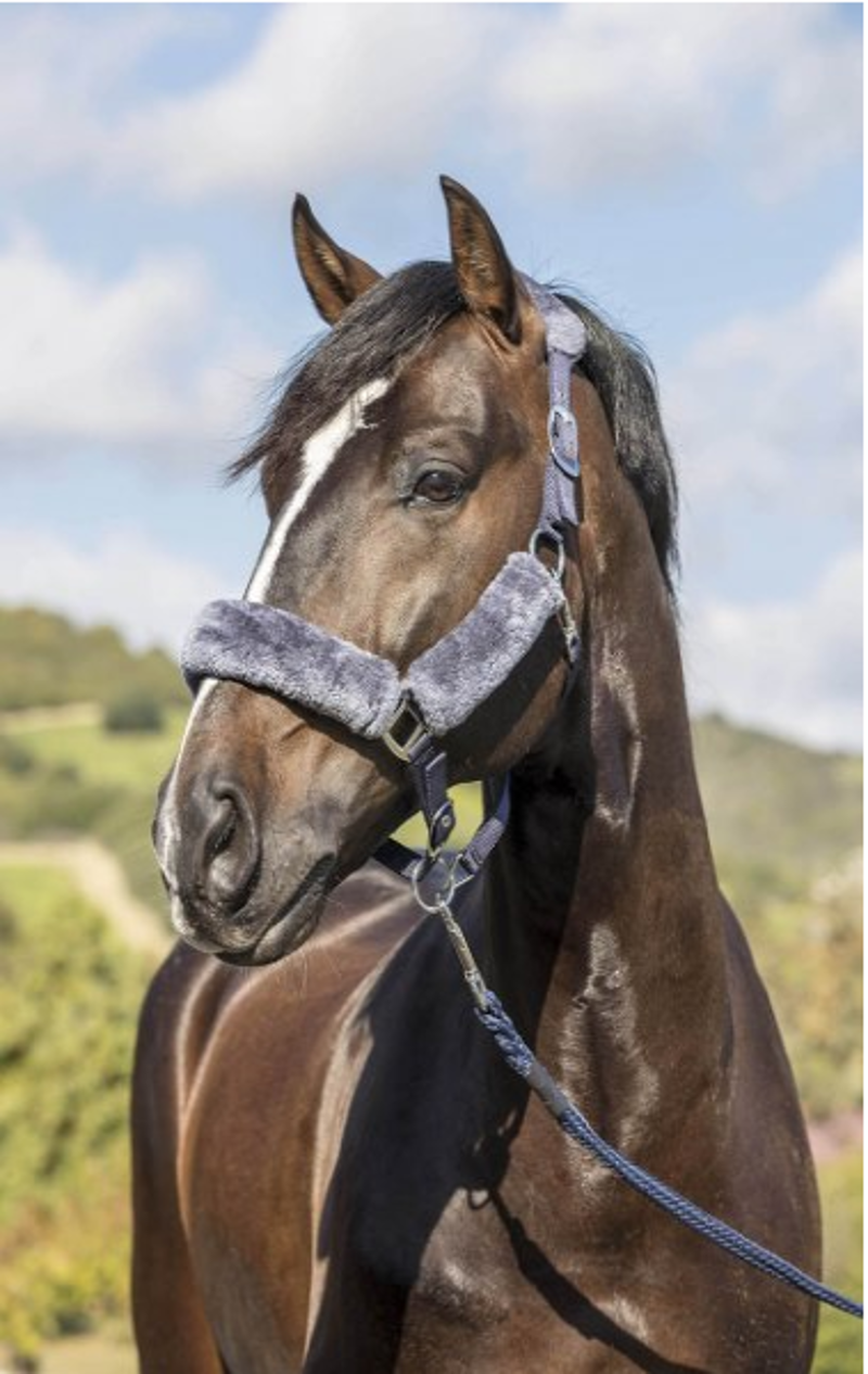 LeMieux Comfort Headcollar - Grey/ Black-1