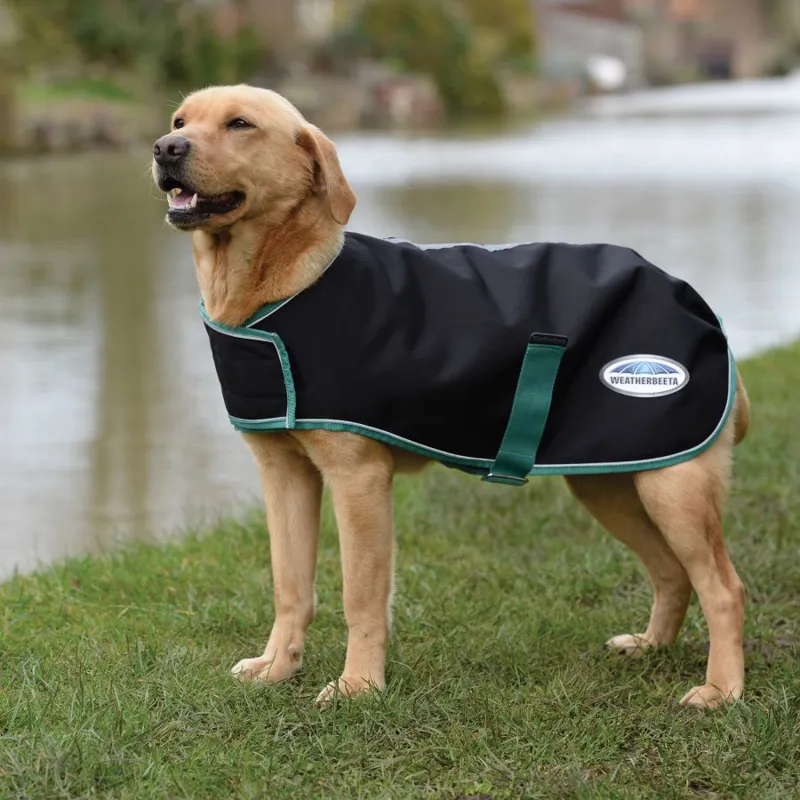 Weatherbeeta Green-Tec 900D Lite Plus Dog Coat - Black/Bottle Green-3