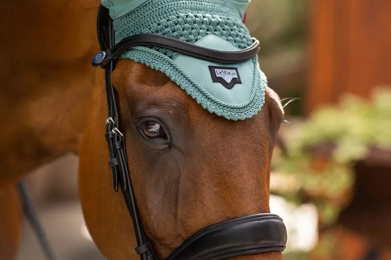 LeMieux Loire Satin Fly Hood - Sage-8