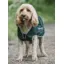 Drywalks Waterproof Dog Coat Forest Green/ Pink