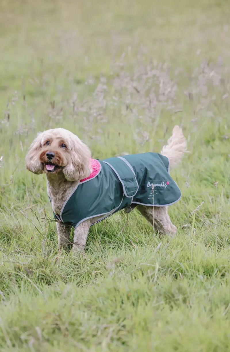 Drywalks Waterproof Dog Coat Forest Green/ Pink-3