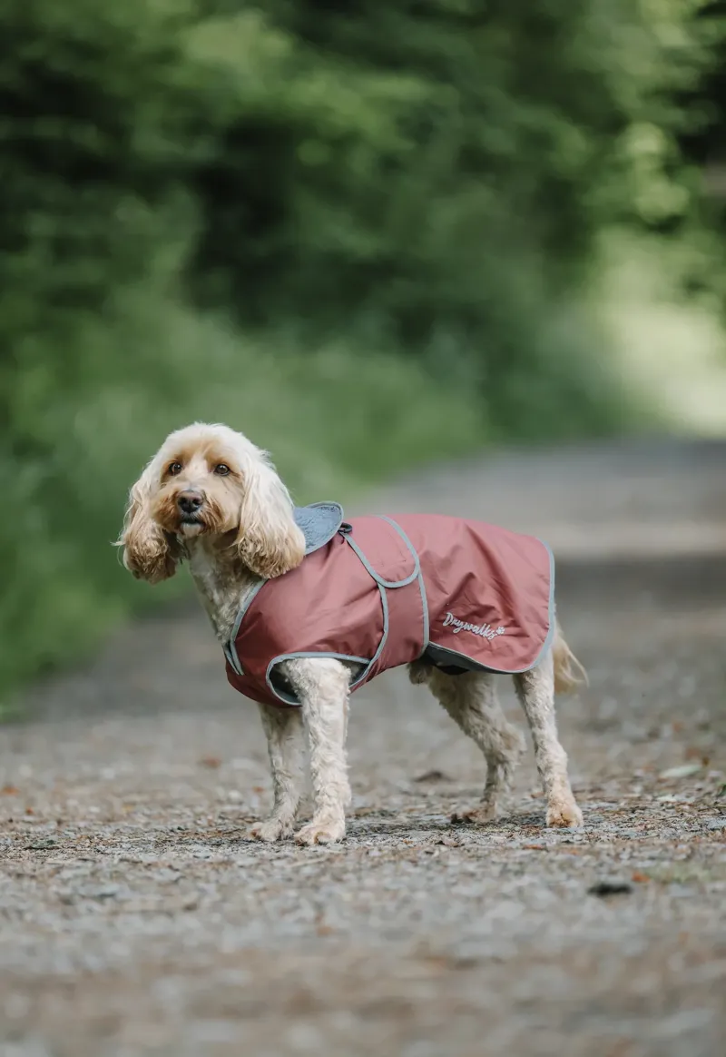 Drywalks Waterproof Dog Coat Chestnut/ Charcoal
