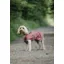 Drywalks Waterproof Dog Coat Chestnut/ Charcoal