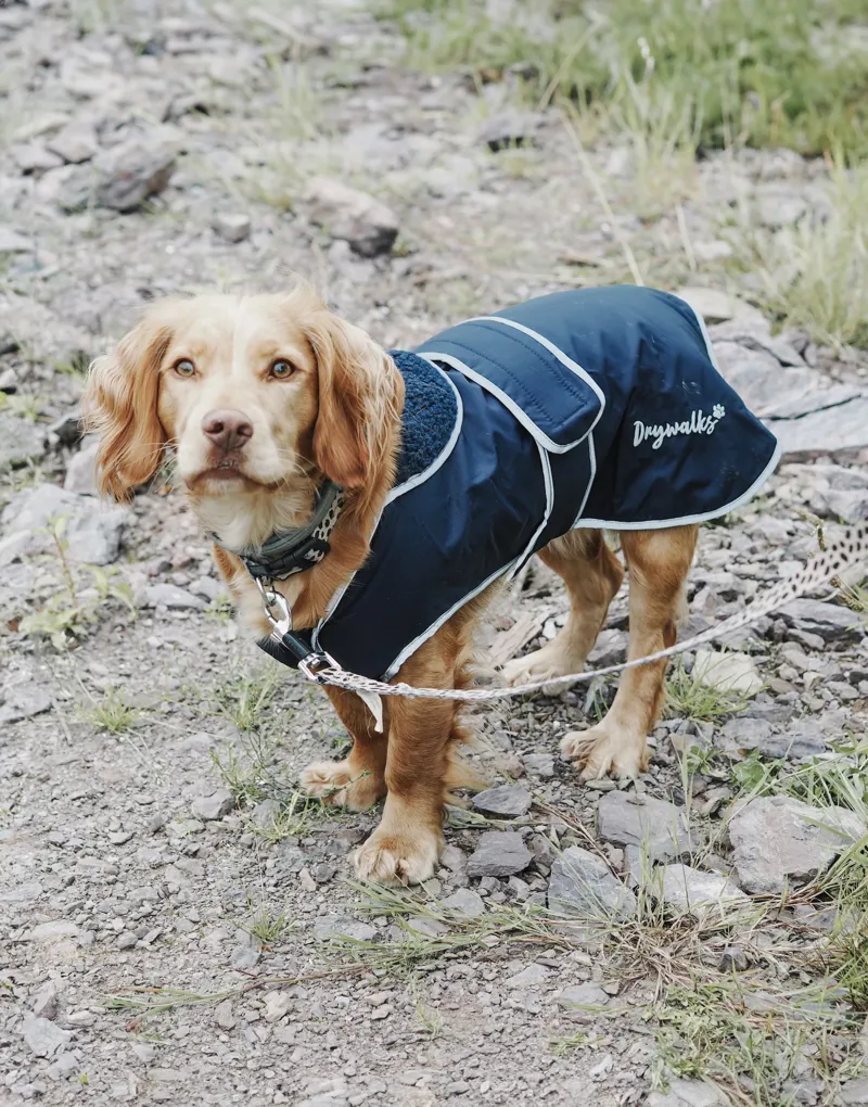 Drywalks Waterproof Dog Coat Navy/ Navy