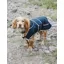 Drywalks Waterproof Dog Coat Navy/ Navy