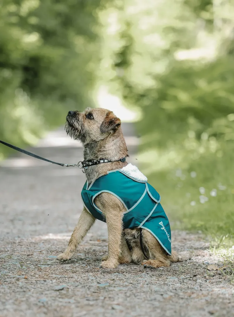 Drywalks Waterproof Dog Coat Teal/ Teal
