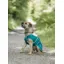 Drywalks Waterproof Dog Coat Teal/ Teal