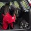 Dogrobe - Large
