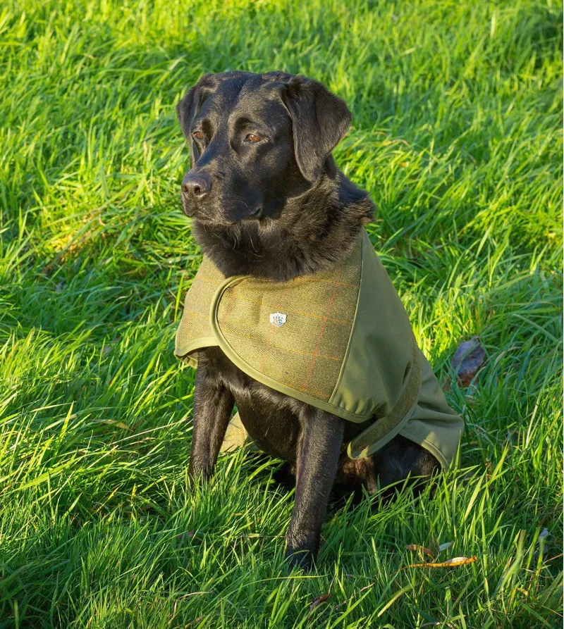 Alan Paine Tweed Dog Coat - Lichen