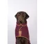 Ruff  and  Tumble Country Collection Drying Coat - XLarge