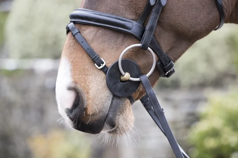 LeMieux Silicone Bit Ring - Brown