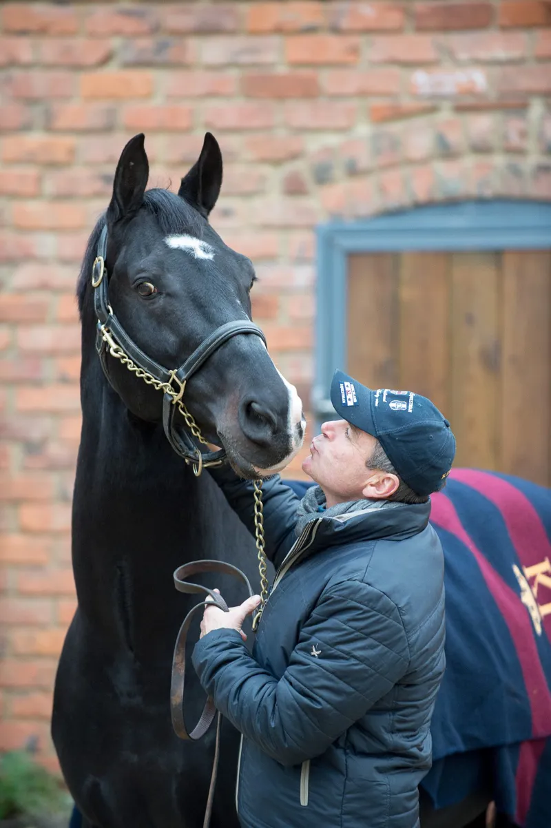 Alan Davies Signature Pack of Brushes-2