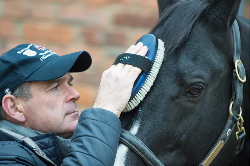 Alan Davies Signature Pack of Brushes-4