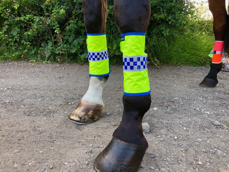 Equisafety Polite Leg Boots - Yellow-1