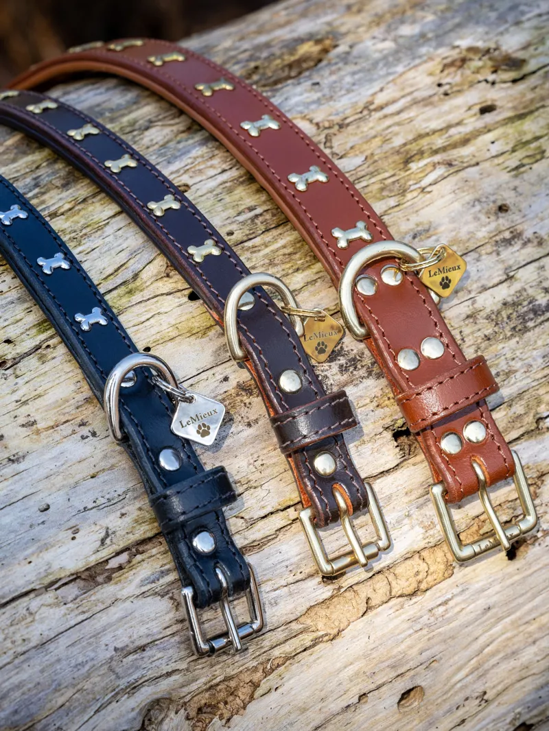 LeMieux Chelsea Dog Collar - Small