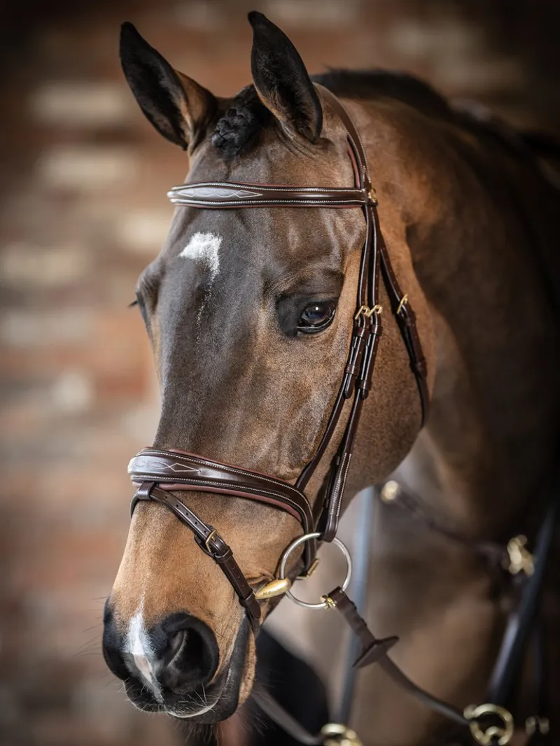 LeMieux Competition Flash Bridle - Havana