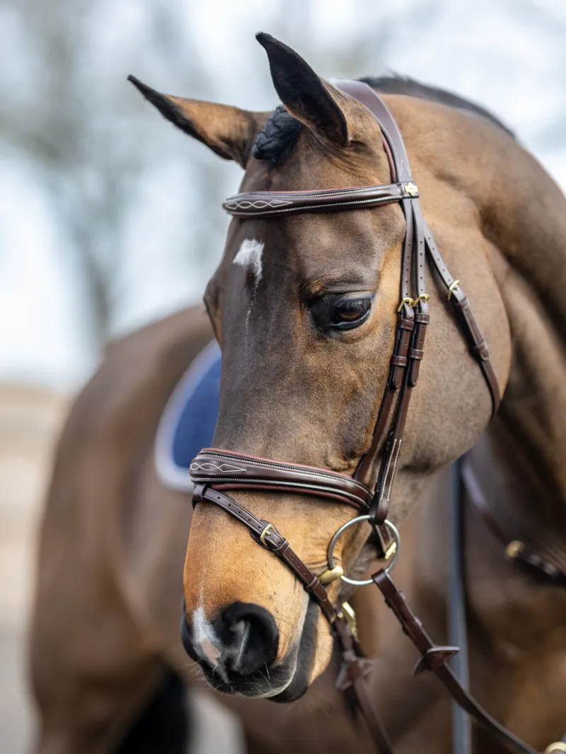 LeMieux Competition Flash Bridle - Havana-3