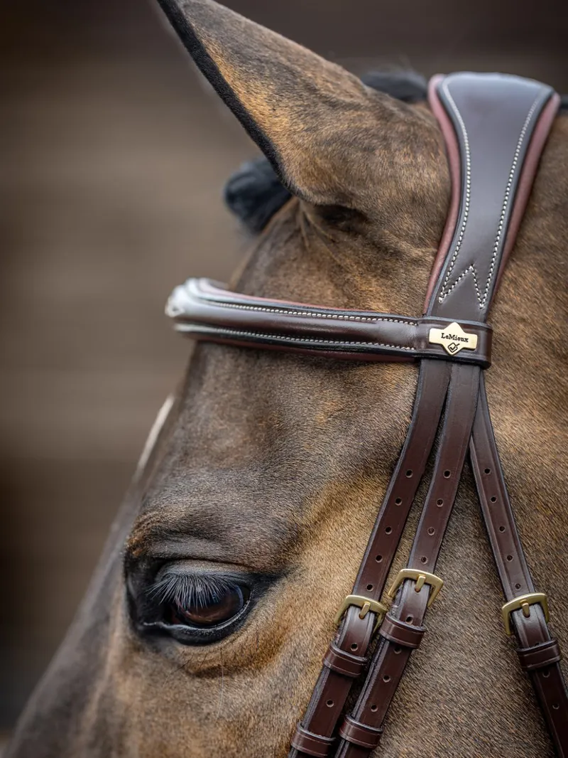 LeMieux Competition Flash Bridle - Havana-4