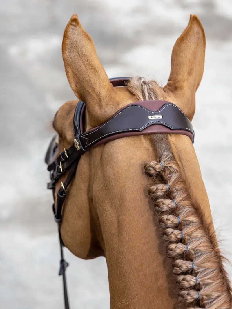 LeMieux Competition Flash Bridle - Havana-2