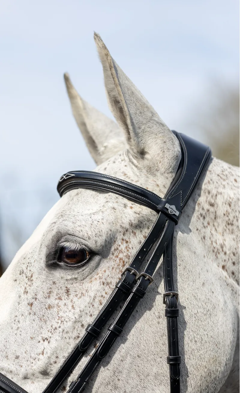 LeMieux Competition Flash Bridle - Black-3
