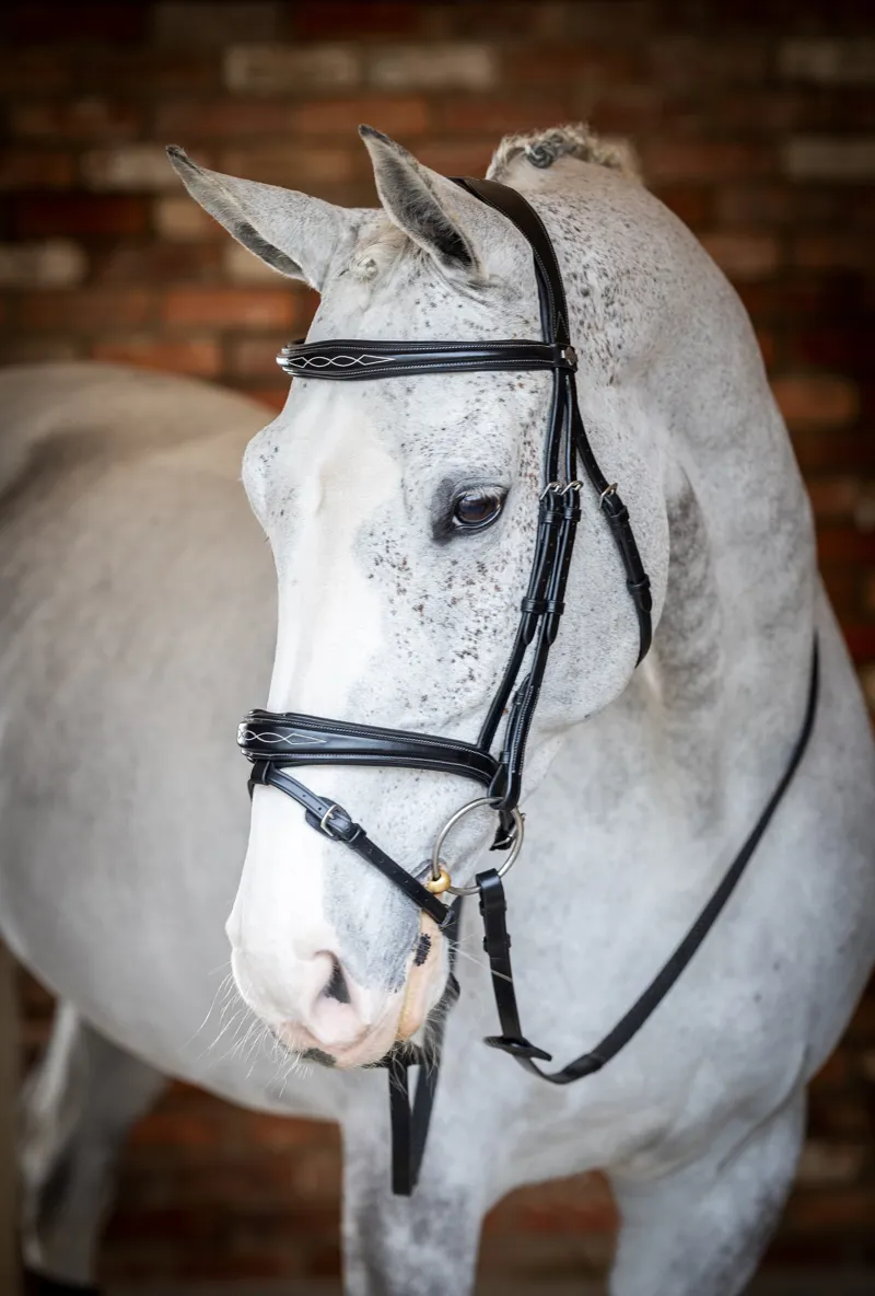LeMieux Competition Flash Bridle - Black