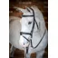 LeMieux Competition Flash Bridle - Black
