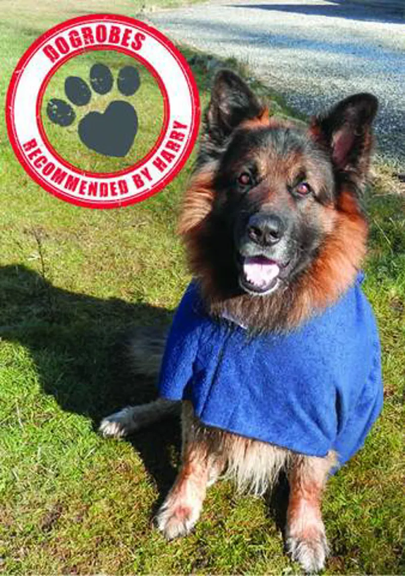 Dogrobe - Extra Extra Large