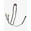 LeMieux Running Martingale - Havana