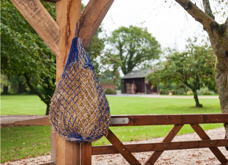 LeMieux Hippo Haynet - Blue/Grey