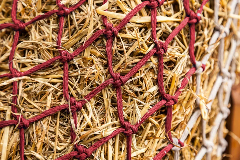 LeMieux Hippo Haynet - Burgundy/ Beige