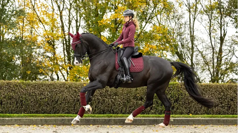 LeMieux Crystal Suede Dressage Pad - Burgundy-1