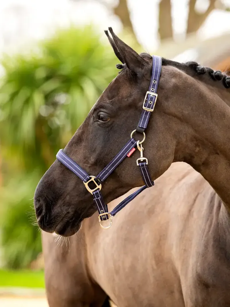 LeMieux Essential Yard Headcollar - Navy-1