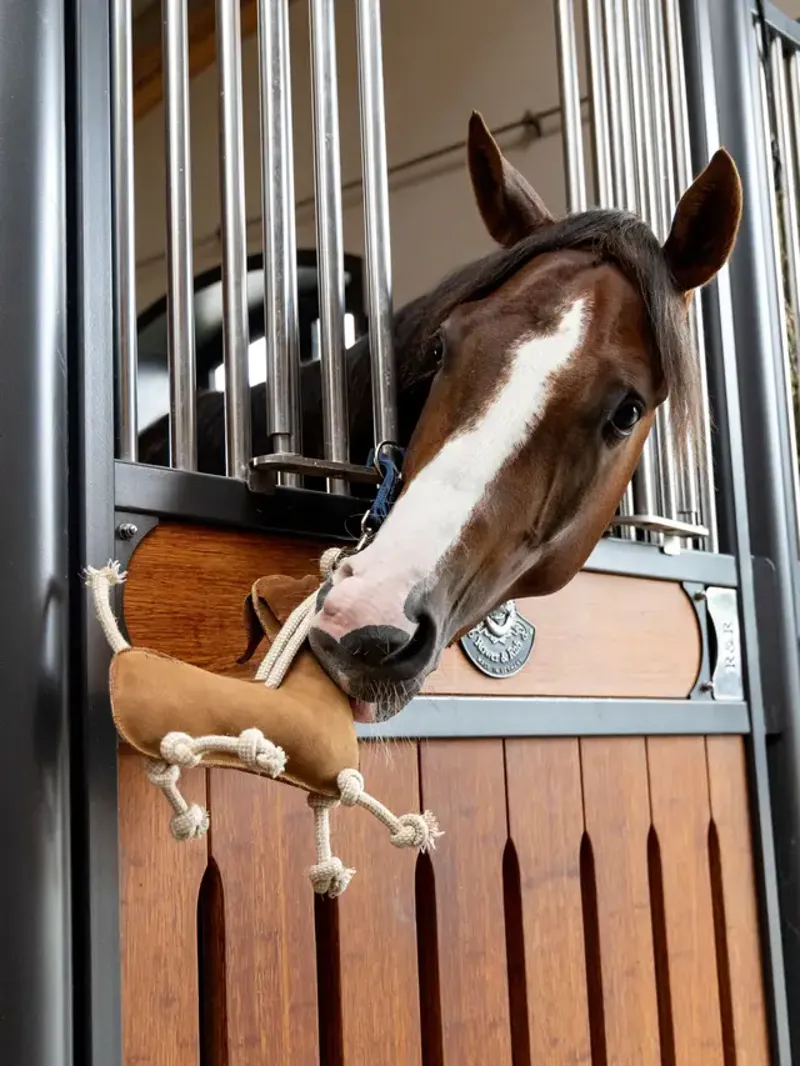 LeMieux Horse Toy - Sausage Dog-1