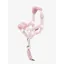LeMieux Toy Pony Vogue Headcollar and Leadrope - Blossom