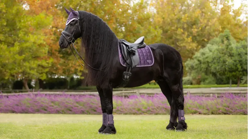 LeMieux Loire Classic Dressage Square - Juniper-1