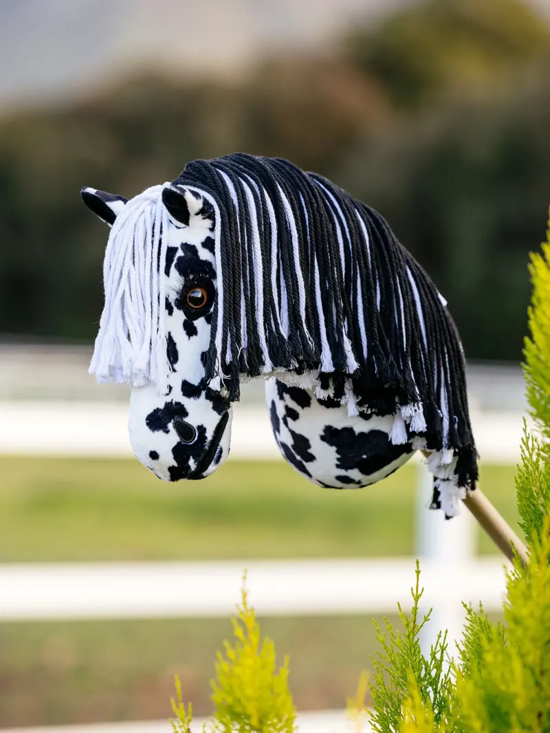 LeMieux Hobby Horse - Dakota-2