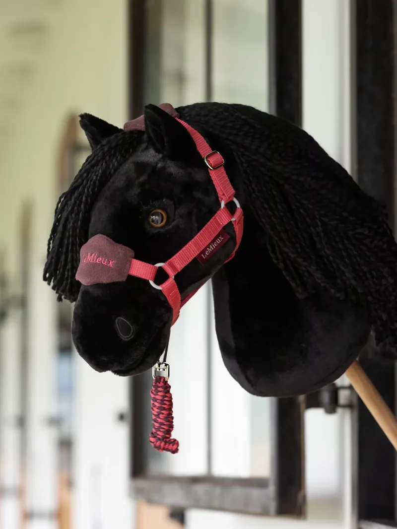 LeMieux Hobby Horse - Spike-1