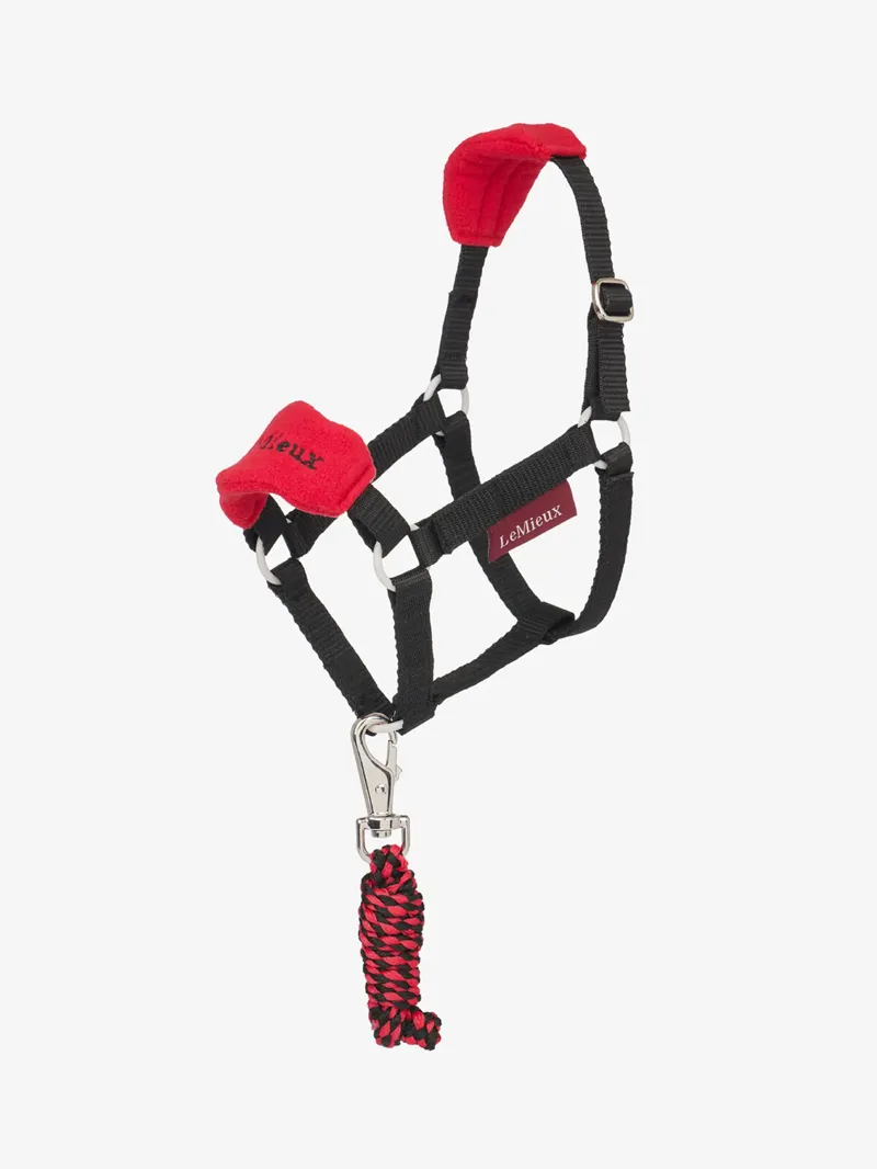 LeMieux Hobby Horse Vogue Headcollar and Leadrope - Chilli