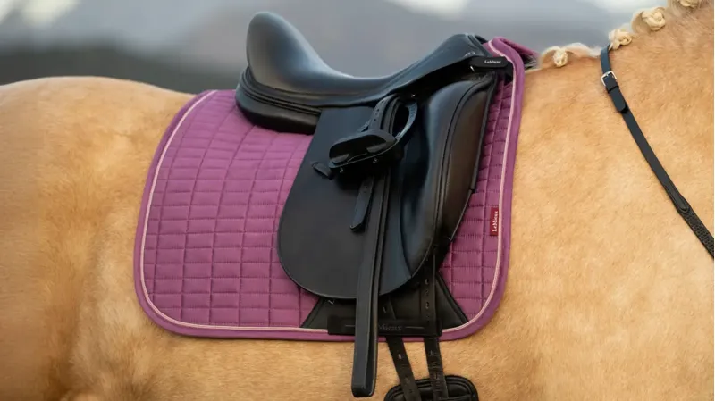 LeMieux Suede Dressage Square - Mallow-1