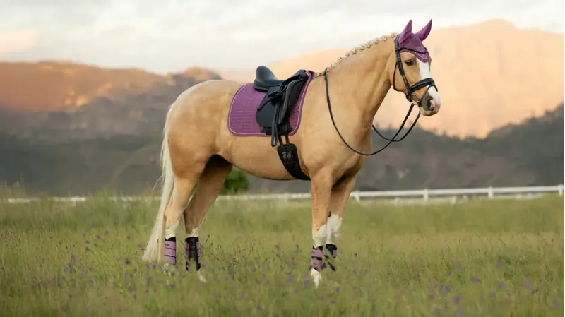 LeMieux Suede Dressage Square - Mallow-2