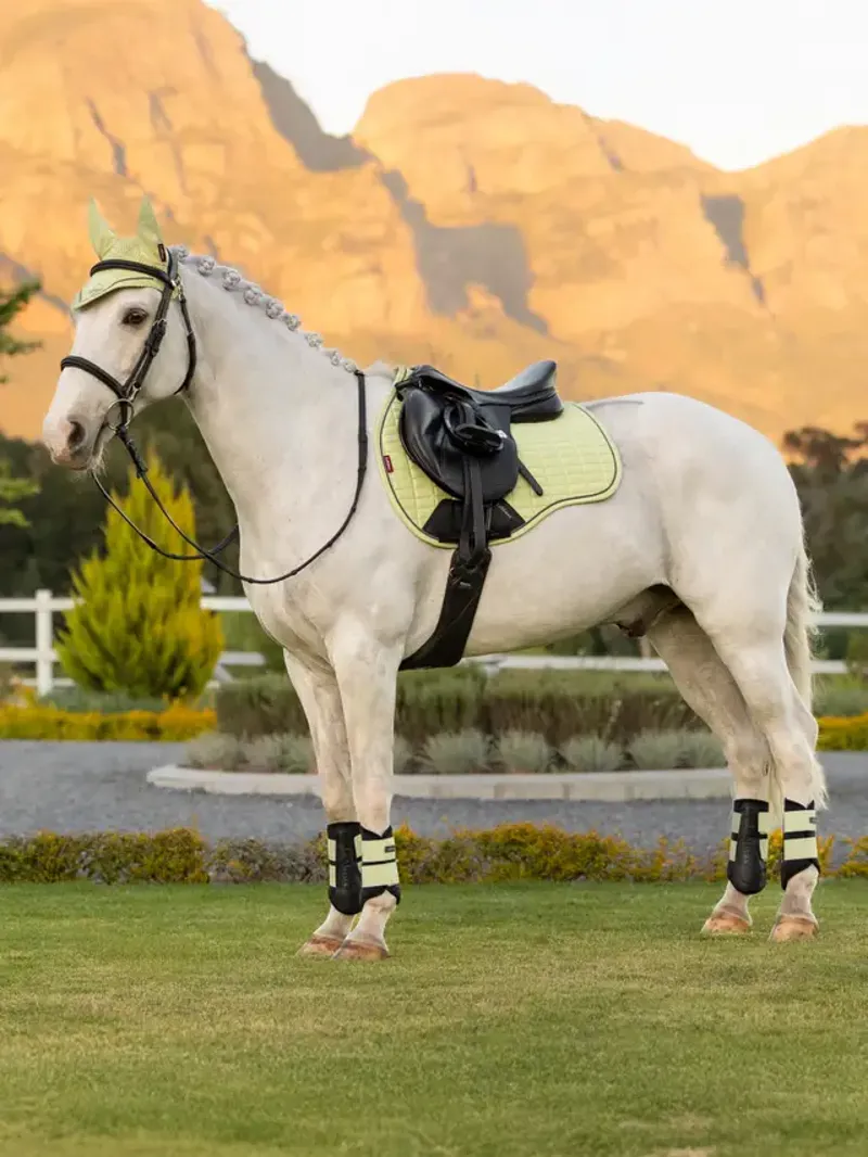 LeMieux Suede GP Square - Macaron-3