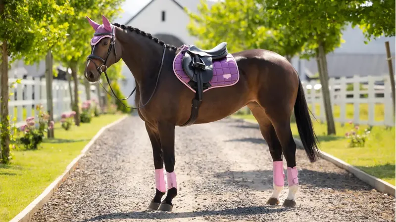 LeMieux Classic Close Contact Square - Mallow-1