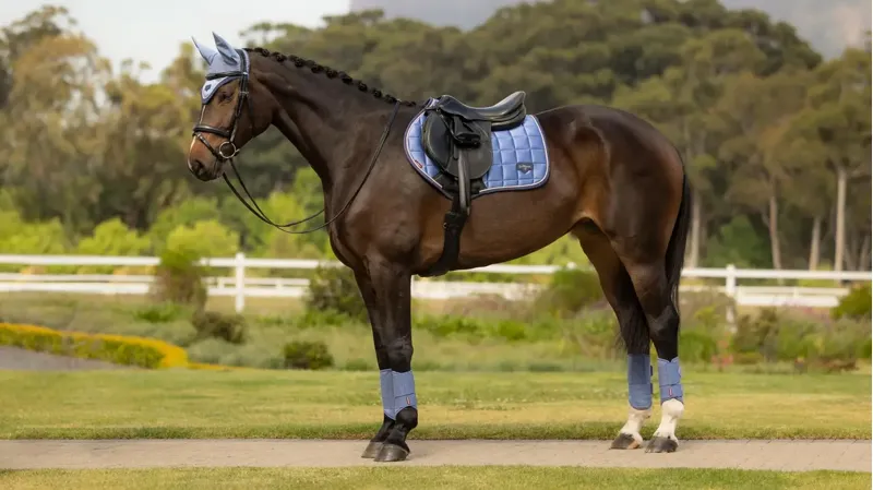 LeMieux Classic Close Contact Square - Powder Blue-1