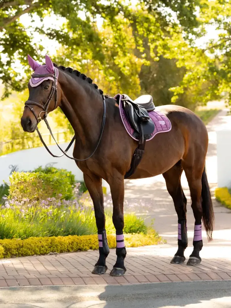 LeMieux Loire Classic GP Square - Mallow-3