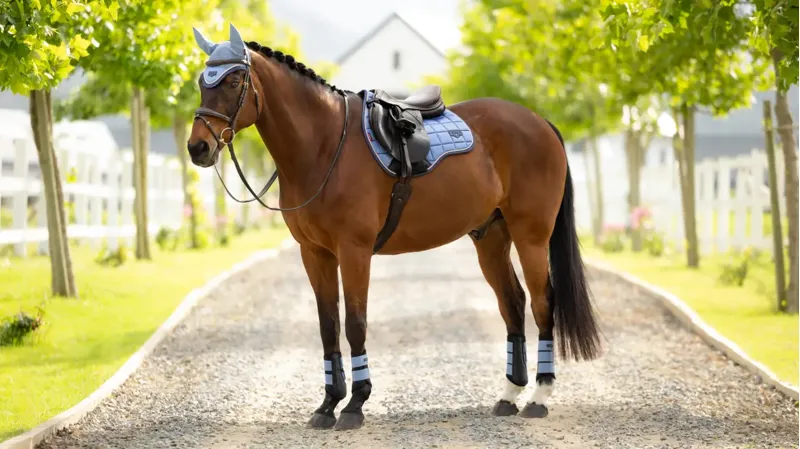 LeMieux Loire Classic GP Square - Powder Blue-2