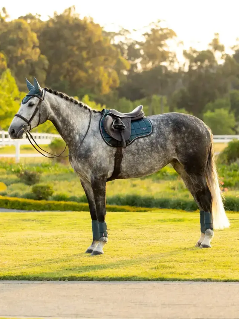 LeMieux Loire Classic GP Square - Jungle-3